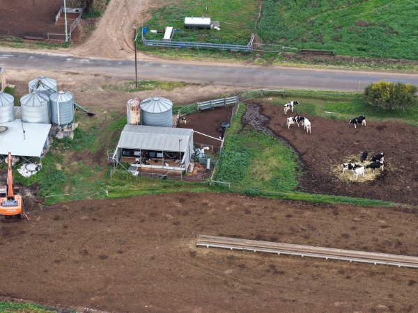 Drone flyover - Golderama Holsteins