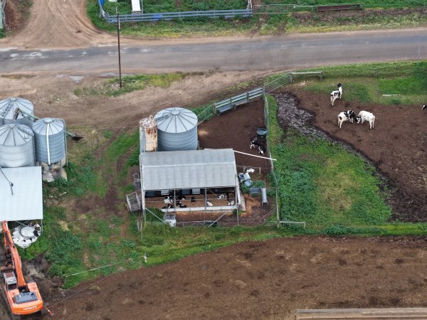 Drone flyover - Golderama Holsteins