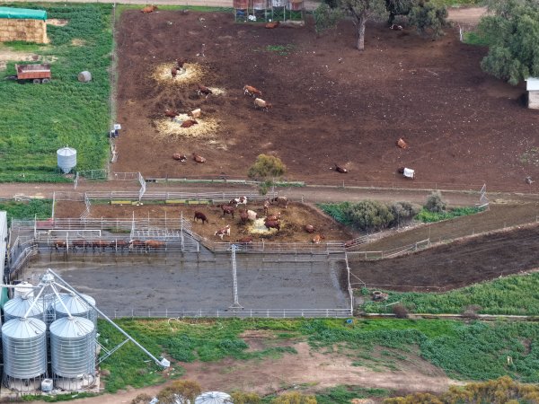 Drone flyover