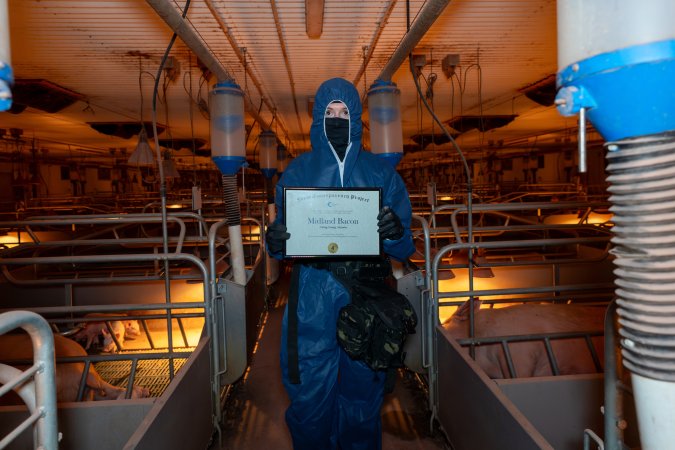 FTP Pig Industry Awards - 2025