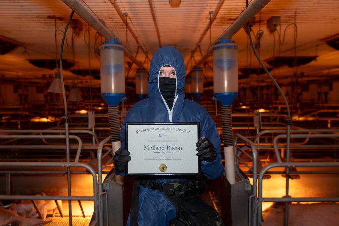 FTP Pig Industry Awards - 2025