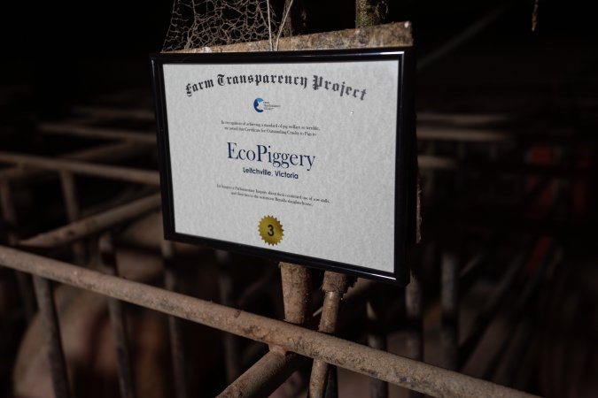 FTP Pig Industry Awards - 2025