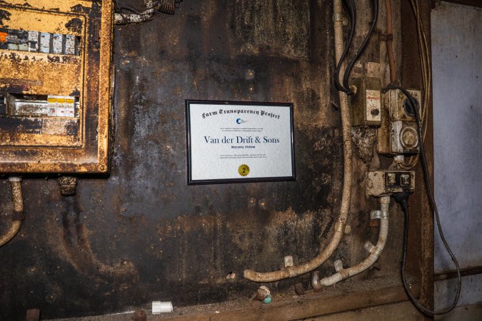 FTP Pig Industry Awards - 2025