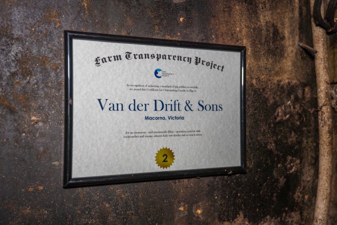 FTP Pig Industry Awards - 2025