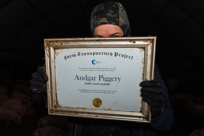 FTP Pig Industry Awards - 2025