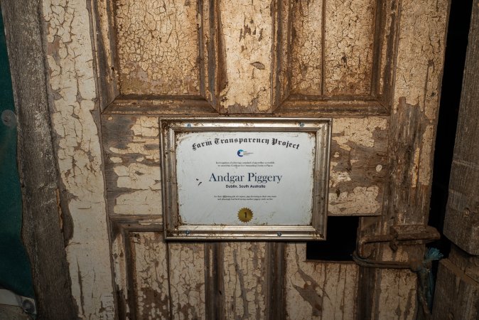 FTP Pig Industry Awards - 2025