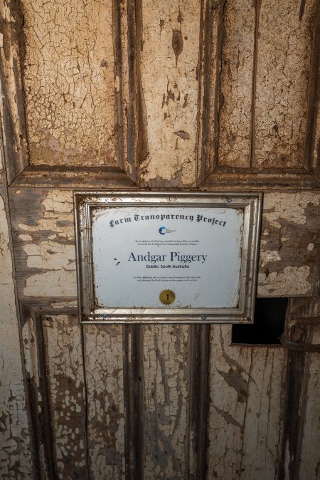 FTP Pig Industry Awards - 2025