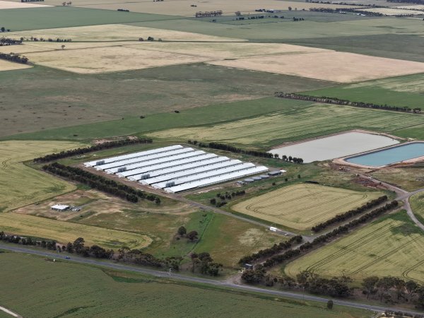 Drone flyover of broiler (meat) chicken farm