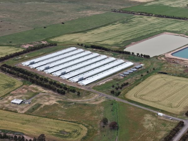 Drone flyover of broiler (meat) chicken farm