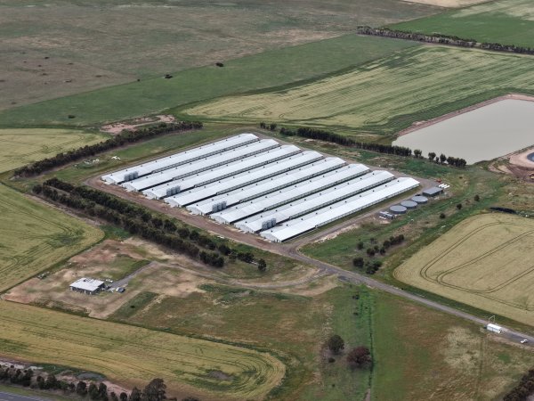 Drone flyover of broiler (meat) chicken farm
