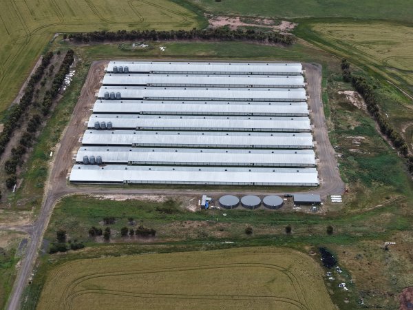 Drone flyover of broiler (meat) chicken farm