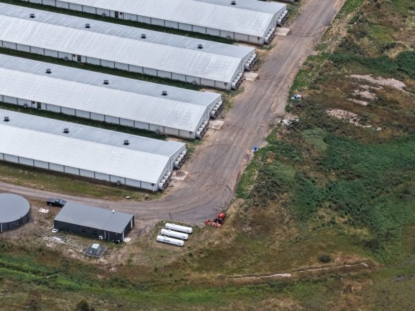 Drone flyover of broiler (meat) chicken farm