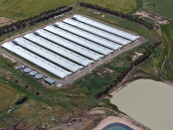 Drone flyover of broiler (meat) chicken farm