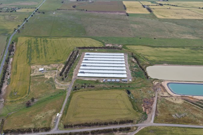 Drone flyover of broiler (meat) chicken farm