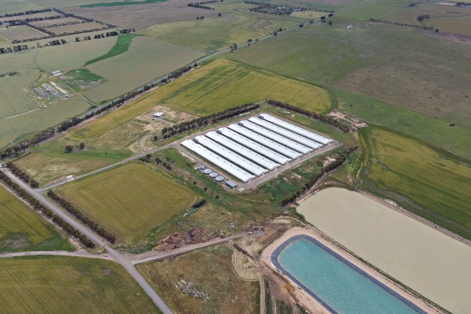 Drone flyover of broiler (meat) chicken farm