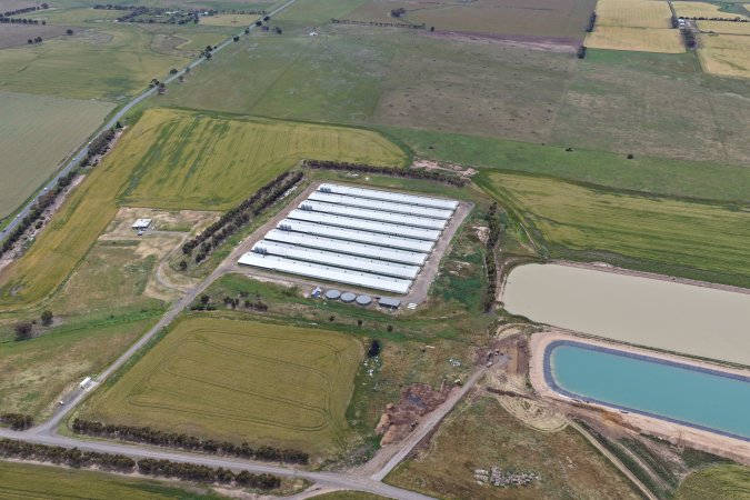 Drone flyover of broiler (meat) chicken farm