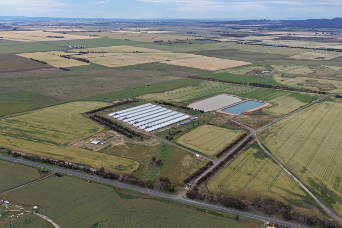 Drone flyover of broiler (meat) chicken farm