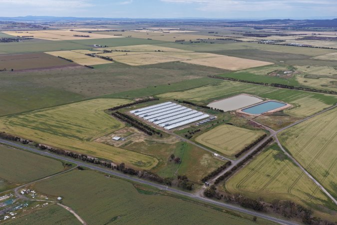 Drone flyover of broiler (meat) chicken farm