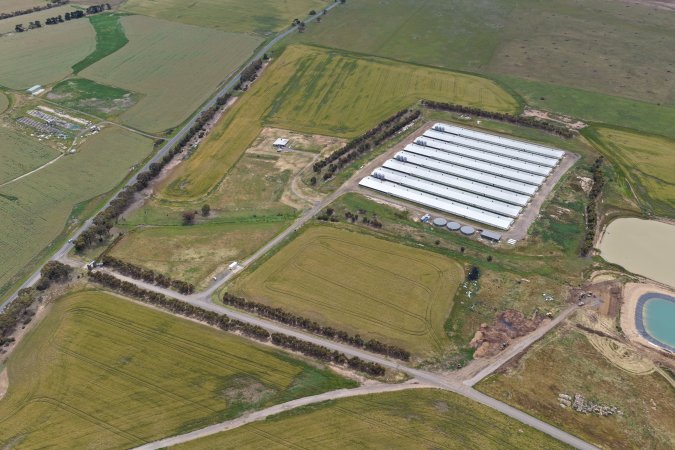 Drone flyover of broiler (meat) chicken farm
