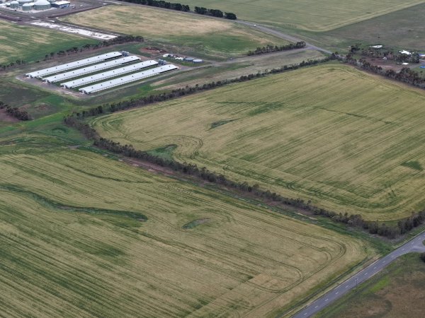 Drone flyover of broiler (meat) chicken farm