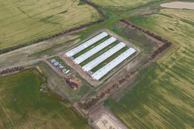 Drone flyover of broiler (meat) chicken farm