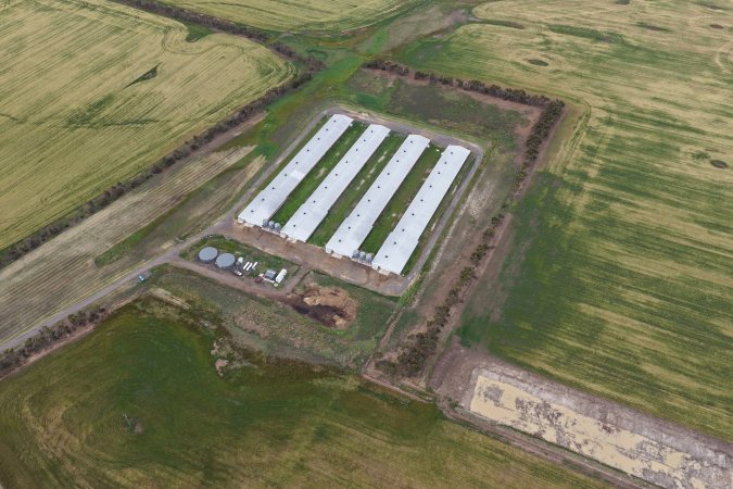 Drone flyover of broiler (meat) chicken farm