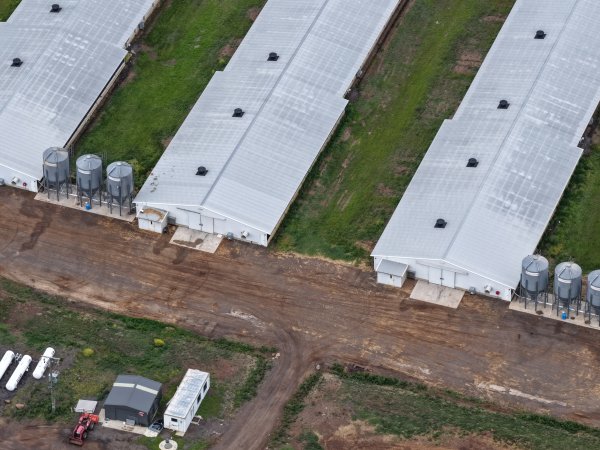 Drone flyover of broiler (meat) chicken farm