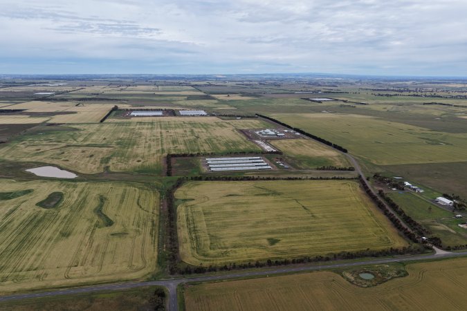 Drone flyover of broiler (meat) chicken farm