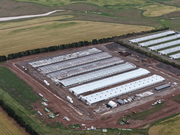 Drone flyover of broiler (meat) chicken farm