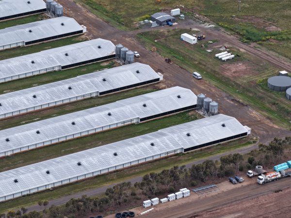 Drone flyover of broiler (meat) chicken farm