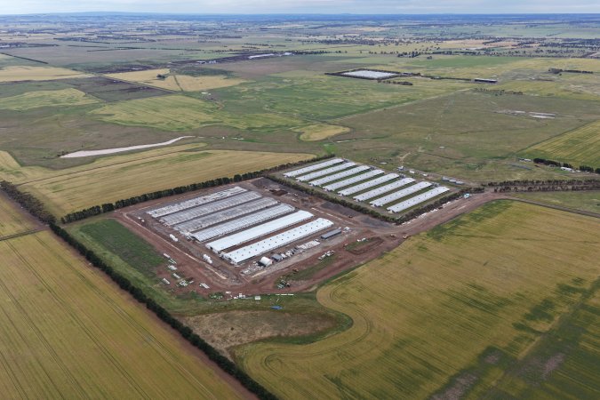 Drone flyover of broiler (meat) chicken farm