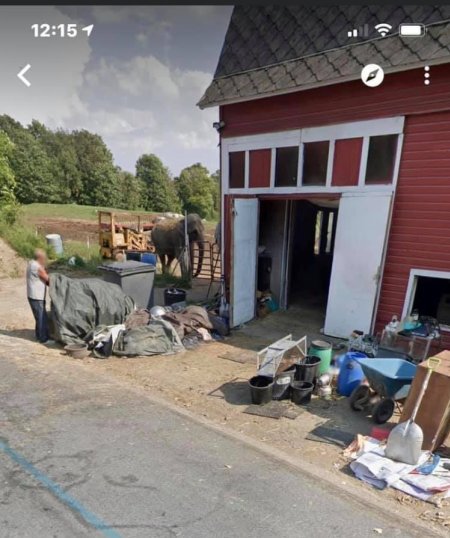 Dawn Animal Agency Evidence