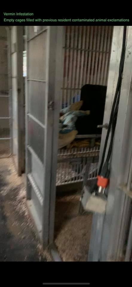 Dawn Animal Agency Evidence