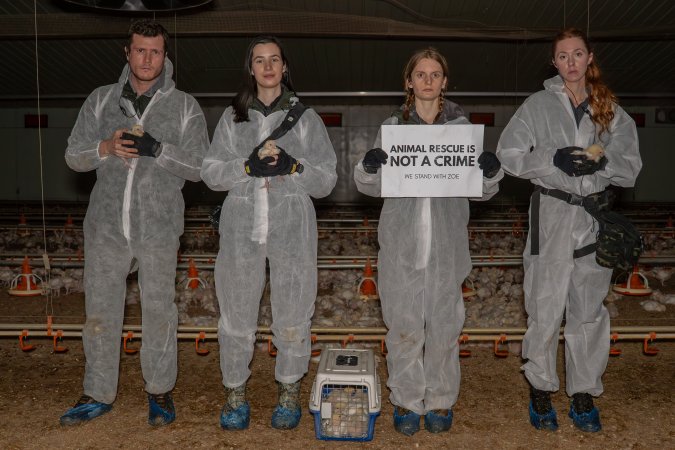 Broiler rescue 2025