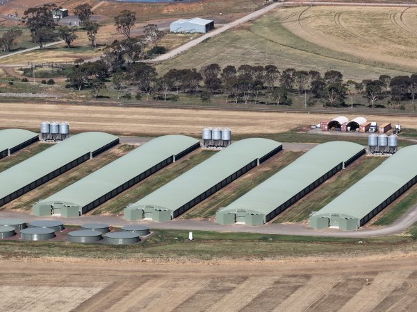 Drone Flyover – Dec 2025