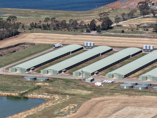 Drone Flyover – Dec 2025