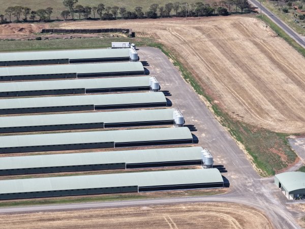 Drone Flyover – Dec 2025