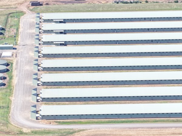 Drone Flyover – Dec 2025