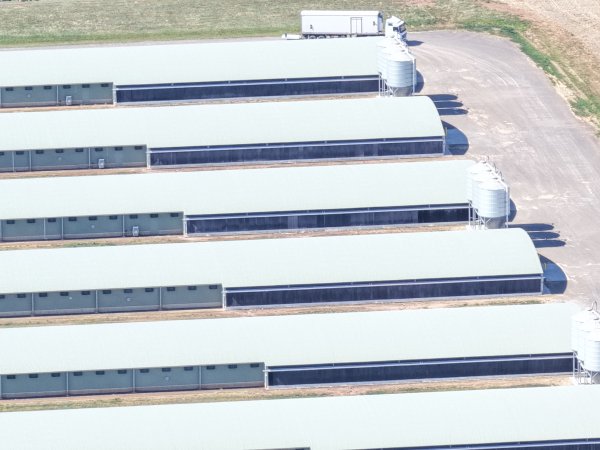 Drone Flyover – Dec 2025