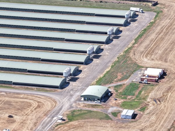 Drone Flyover – Dec 2025