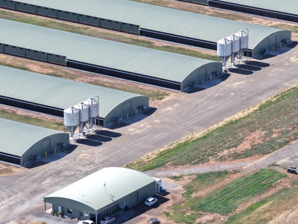 Drone Flyover – Dec 2025