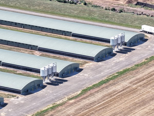 Drone Flyover – Dec 2025