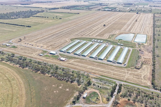 Drone Flyover – Dec 2025