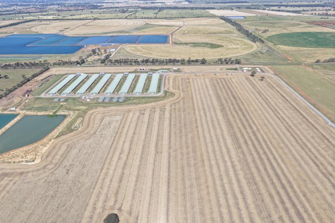 Drone Flyover – Dec 2025