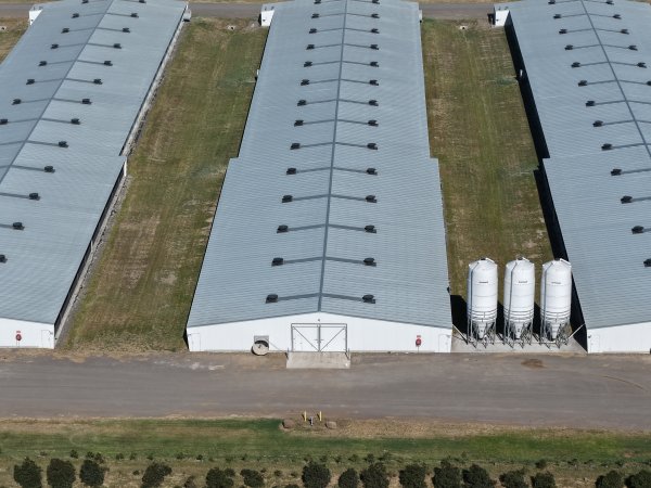 Drone Flyover – Dec 2025