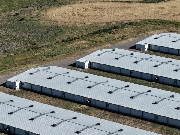 Drone Flyover – Dec 2025