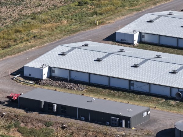 Drone Flyover – Dec 2025