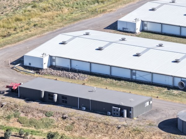 Drone Flyover – Dec 2025