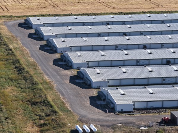 Drone Flyover – Dec 2025