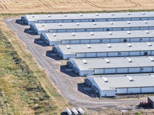 Drone Flyover – Dec 2025